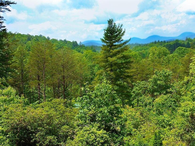 Long Mountain Lodge Bed & Breakfast Dahlonega Ruang foto