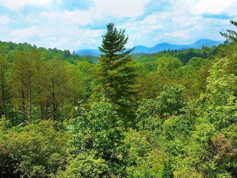 Long Mountain Lodge Bed & Breakfast Dahlonega Ruang foto