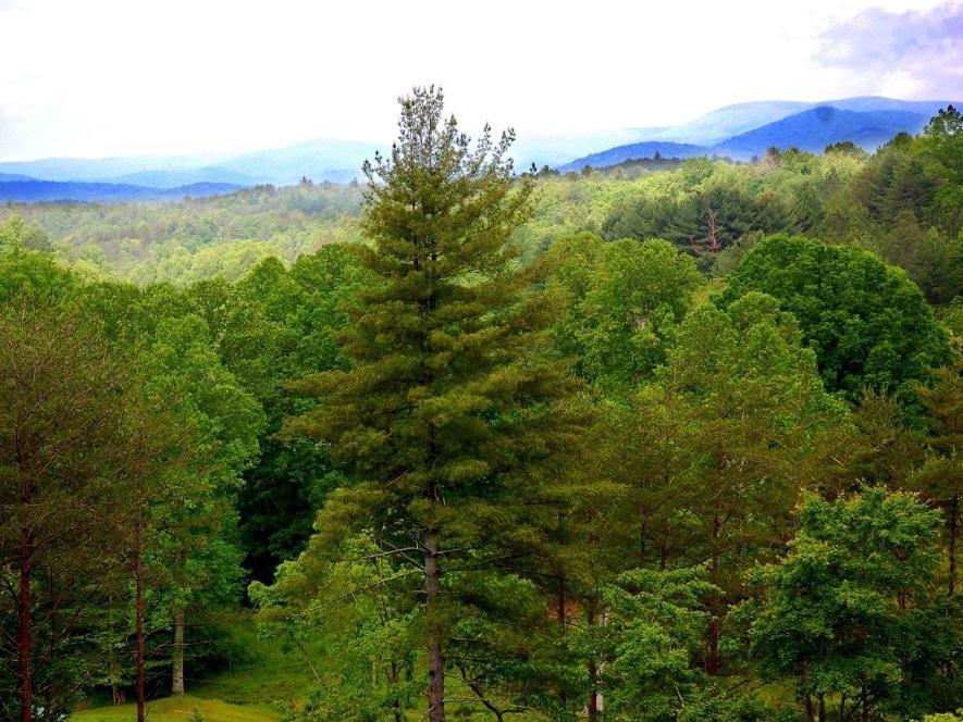 Long Mountain Lodge Bed & Breakfast Dahlonega Ruang foto